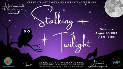 _Stalking Twilight FB event cover (1920 x 1080 px) - Copy - Copy